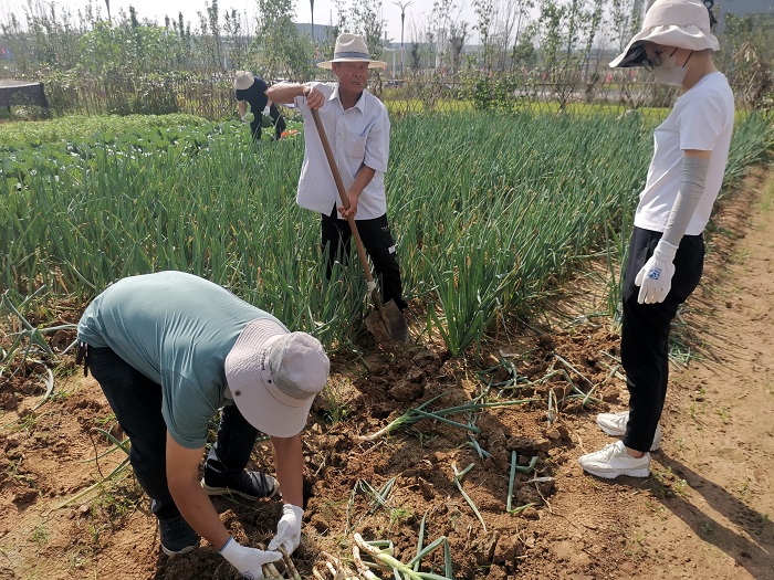 ��ʱKB88��(�й���)�ٷ���վ