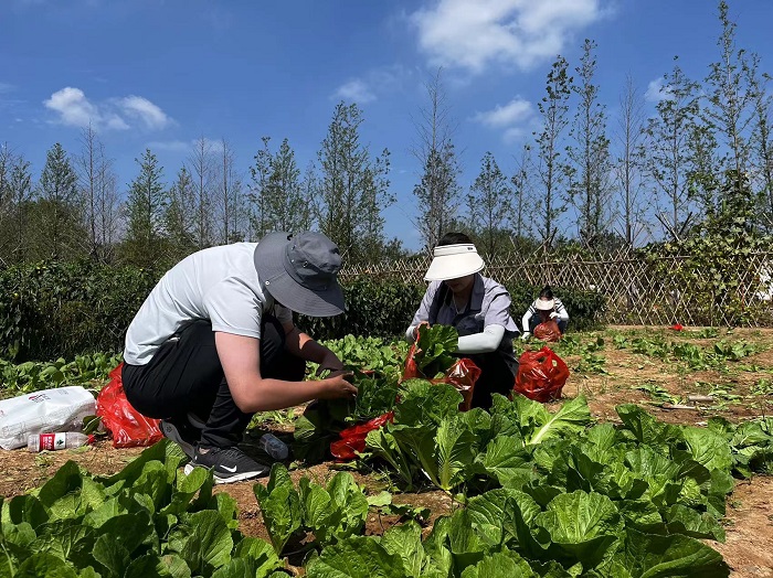 ��ʱKB88��(�й���)�ٷ���վ