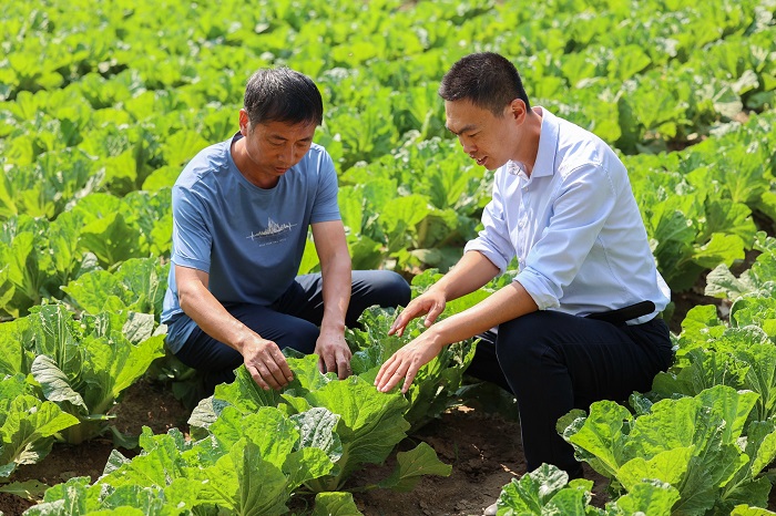 ��ʱKB88��(�й���)�ٷ���վ